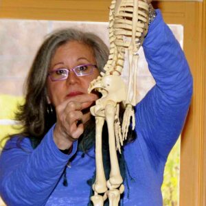 10:45 am – 12 noon | Earth, Water, Fire, Air and Ether with Katherine Schaefer